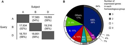 Gene Co-expression Network Analysis Suggests the Existence of Transcriptional Modules Containing a High Proportion of Transcriptionally Differentiated Homoeologs in Hexaploid Wheat